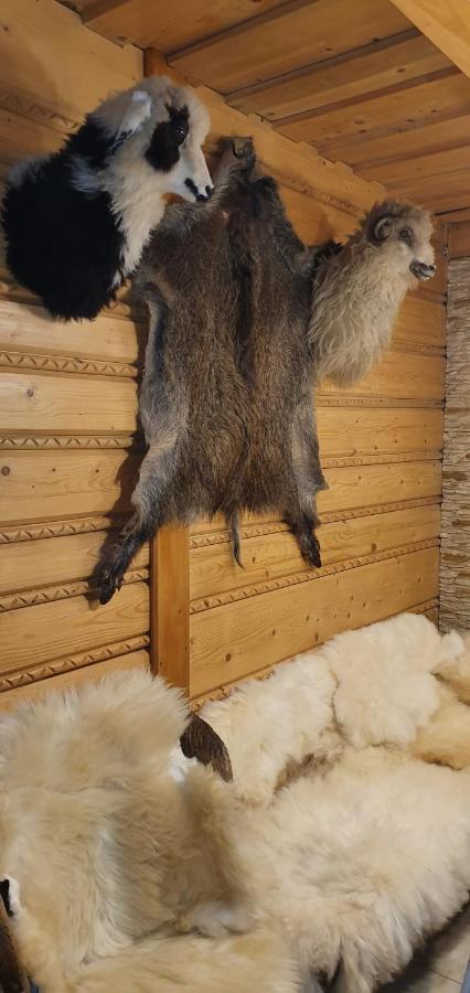 Domki Mroz ザコパネ エクステリア 写真